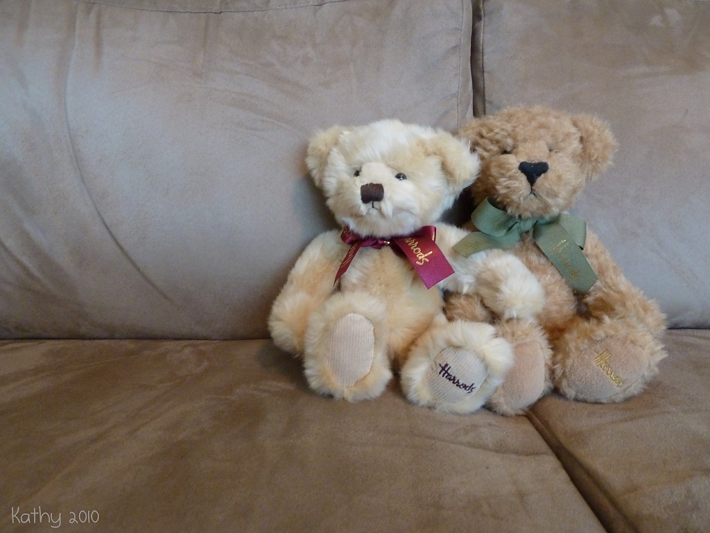 Teddy Bear. by kjarn