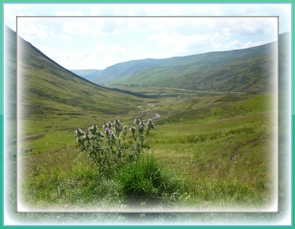 the wild and wonderful Glenshee by sarah19