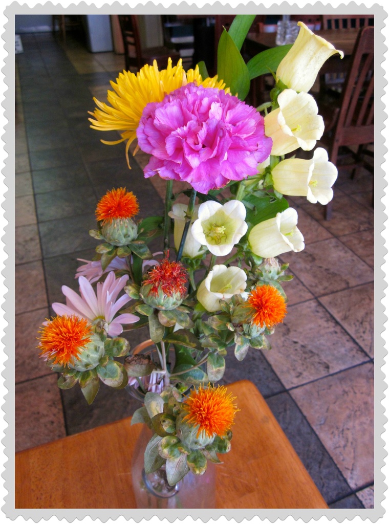 Flowers at Olio by allie912