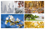 25th Jul 2014 - 6 photo collage - seasons