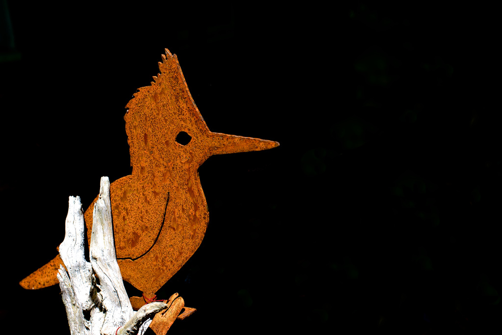 The Rusty Woodpecker by taffy