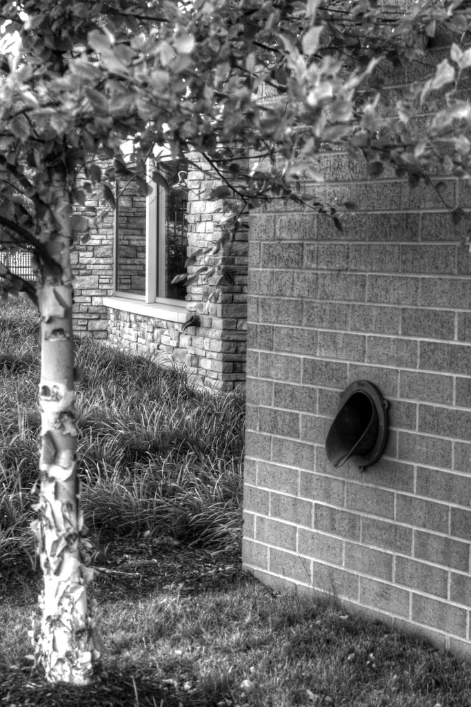 Water vent and bricks by mittens