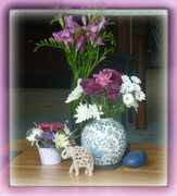 17th Jul 2014 - flowers for holidays
