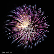 17th Jul 2014 - Fireworks