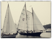 26th Jul 2014 - Wooden Boats...Time Travelers