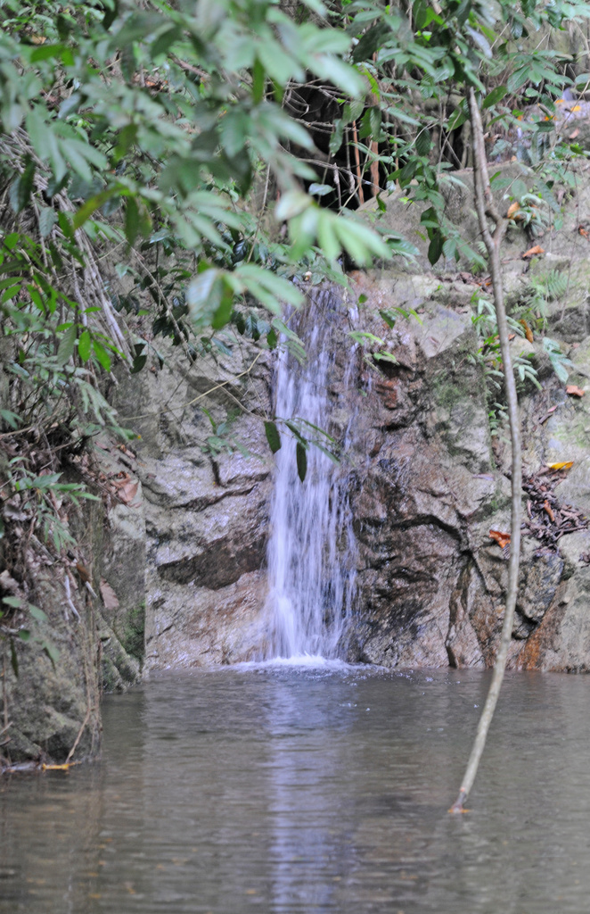 Rock pool Kebun Bungah by ianjb21