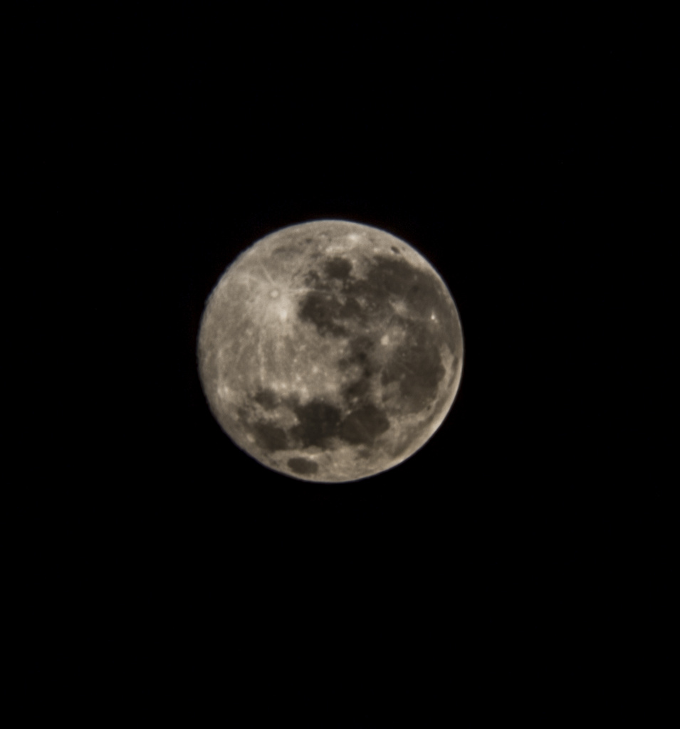 Obligatory Supermoon by corymbia