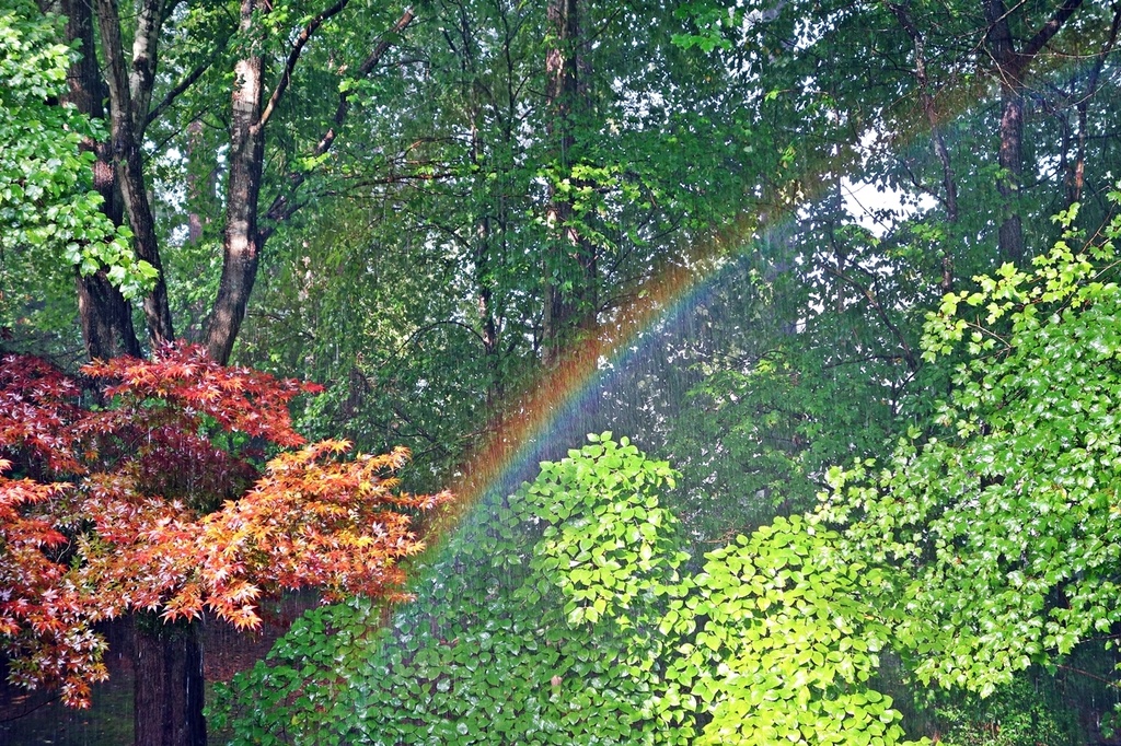 Summer Shower Rainbow by soboy5