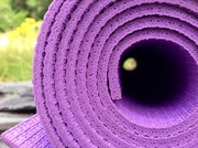 27th Jul 2014 - Rolled up