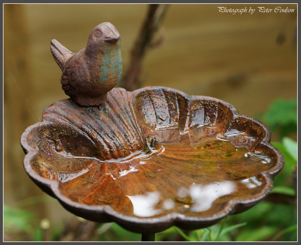 Rusty Water by pcoulson