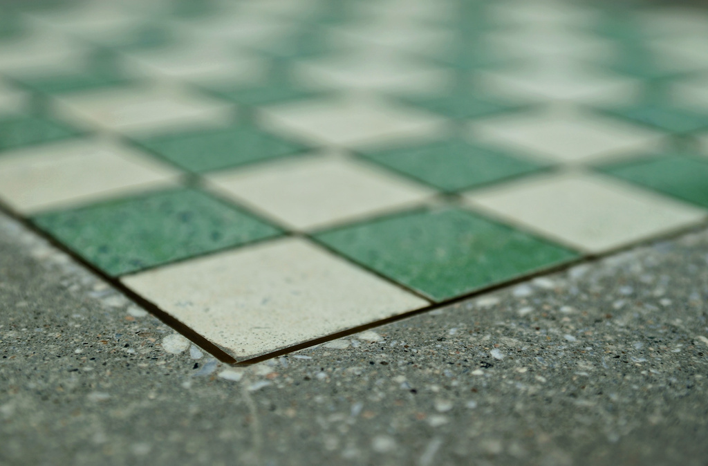 Checker Board by lynne5477