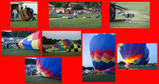 27th Jul 2014 - Hot Air Balloons