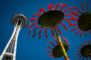 27th Jul 2014 - Space Needle Flowers