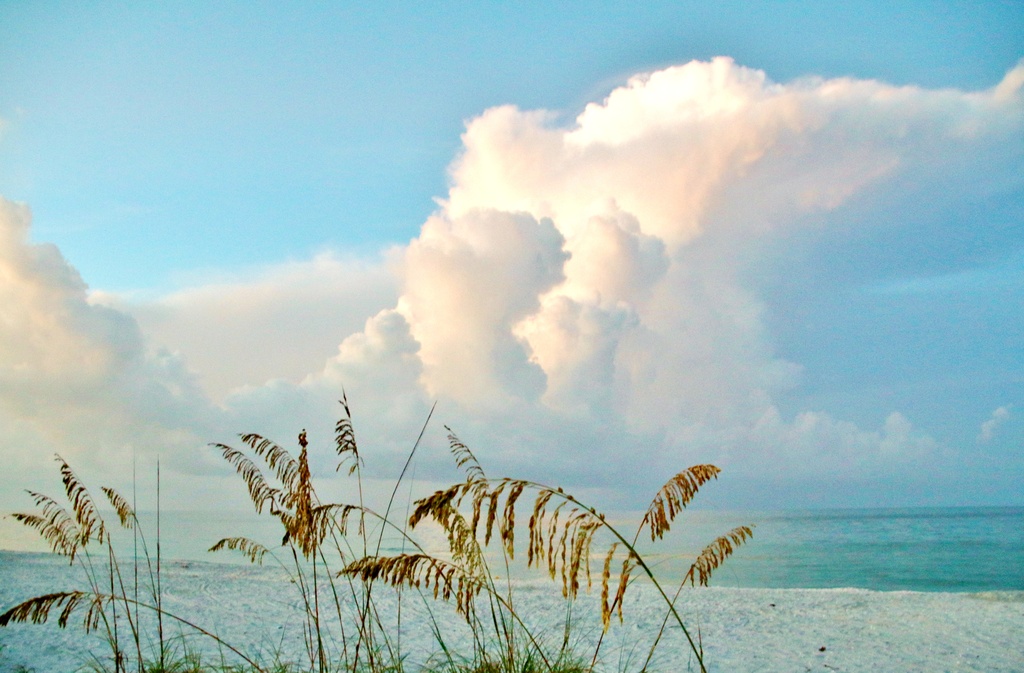 Early Morning ~ Sanibel Island, Florida by lynnz