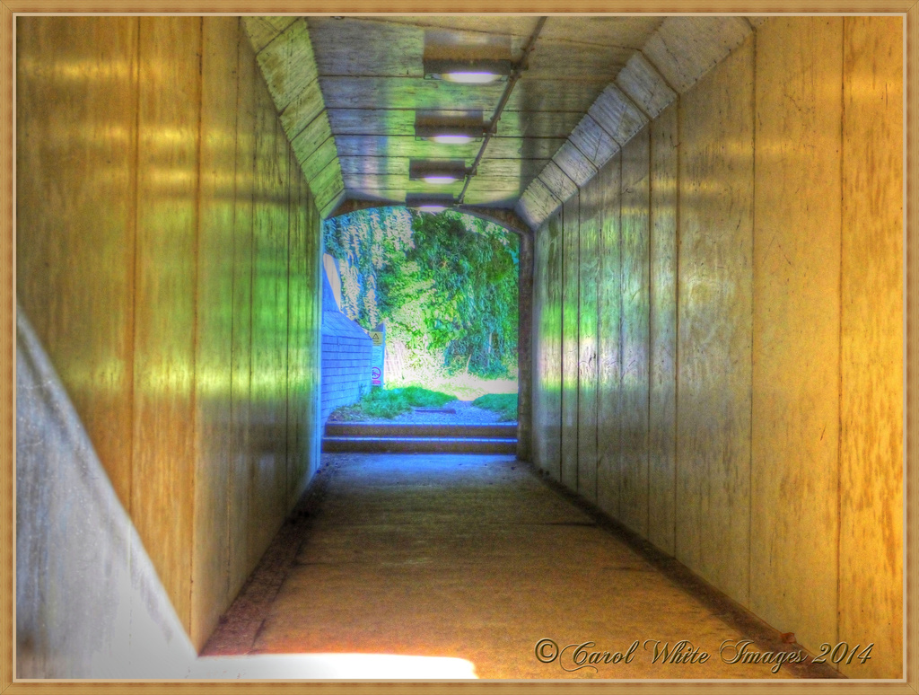 Subway Access To The Canal Towpath by carolmw