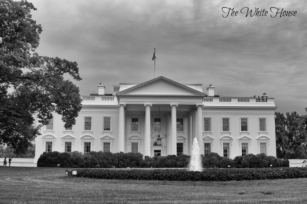 Day 365 - The White House by jamibann