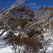 Perisher Colours by pusspup