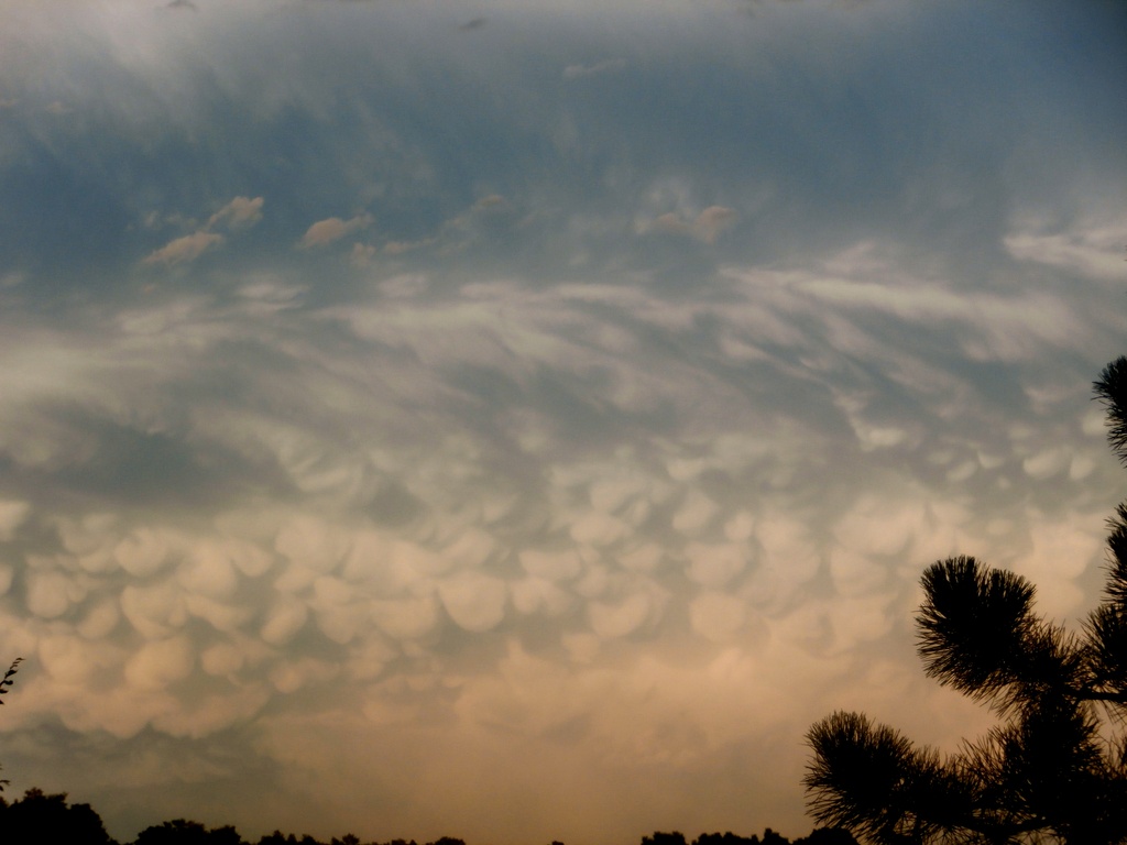 mammatus clouds by pandorasecho
