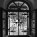 Window by ivanc