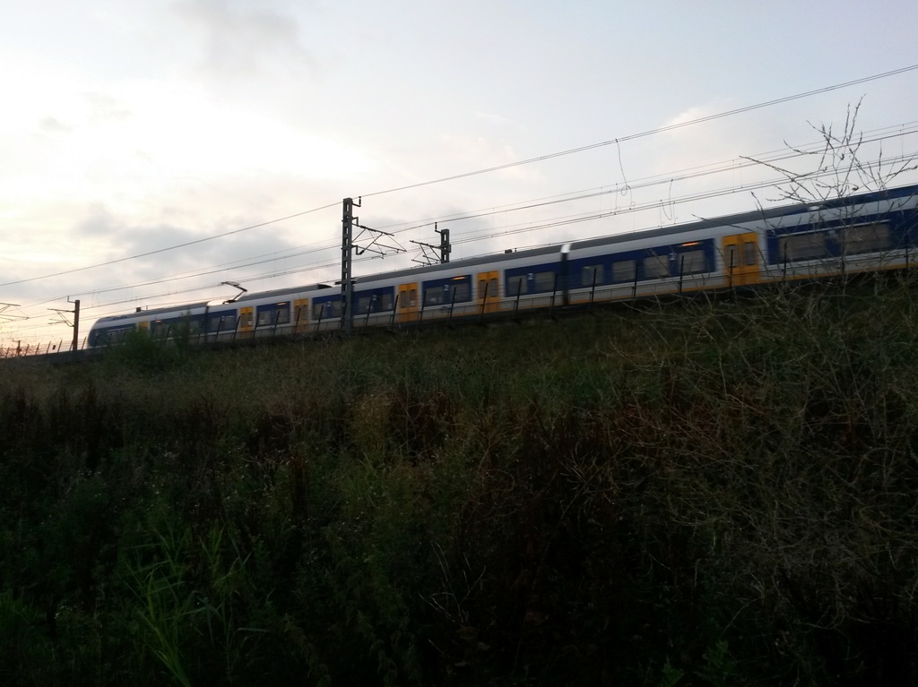 Utrecht - Hogeweide by train365