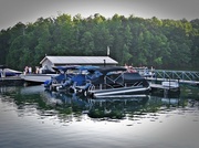30th Jul 2014 - Pontoon Boats For Rent