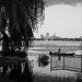 Lake Calhoun and Downtown Minneapolis by tosee