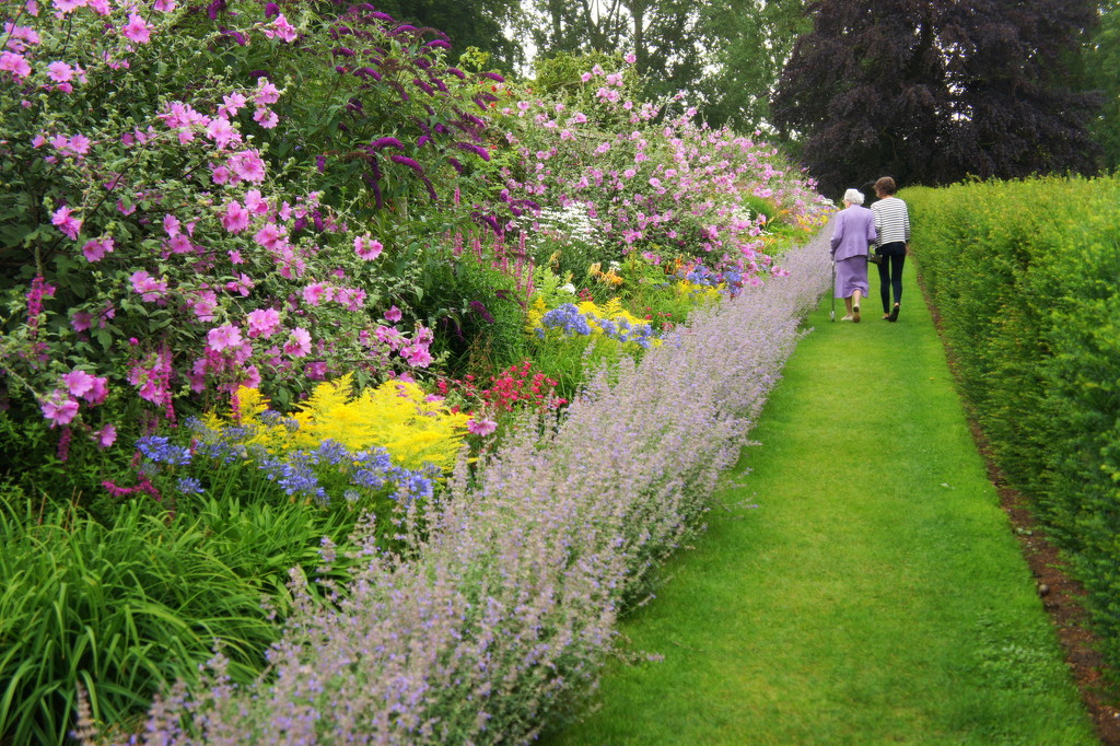 Herbaceous border by boxplayer