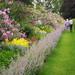 Herbaceous border by boxplayer