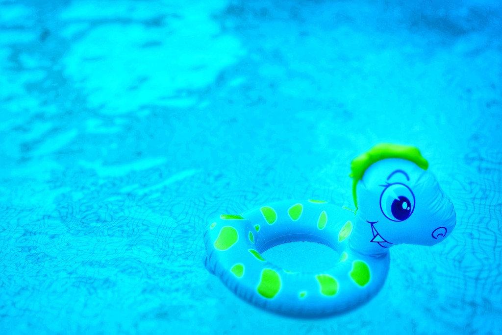 Nessie from the pool. by cocobella