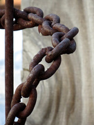 29th Jul 2014 - Chained...