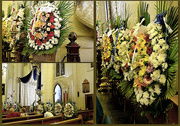 30th Jul 2014 - FLOWERS FOR MARY