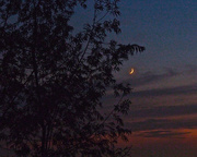29th Jul 2014 - Crescent Moon