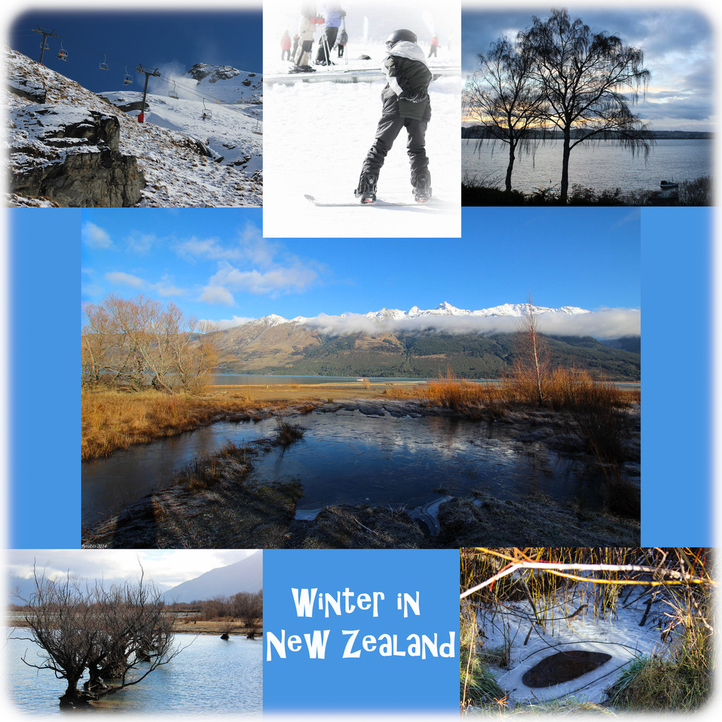 Winter in New Zealand by flyrobin