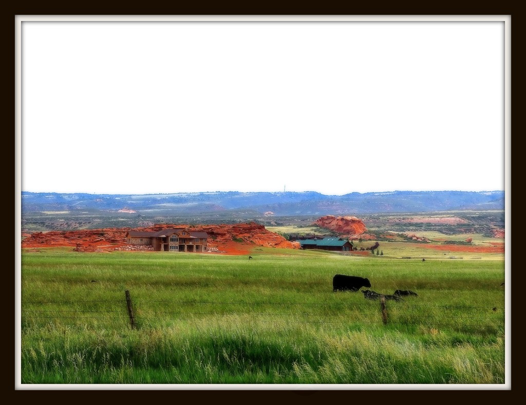 Wild Wyoming by maggiemae
