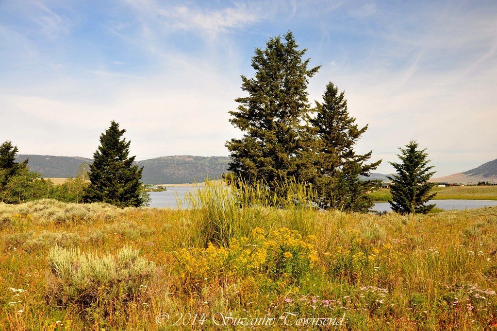 Henry's Lake State Park, Idaho, USA by stownsend