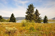 30th Jul 2014 - Henry's Lake State Park, Idaho, USA