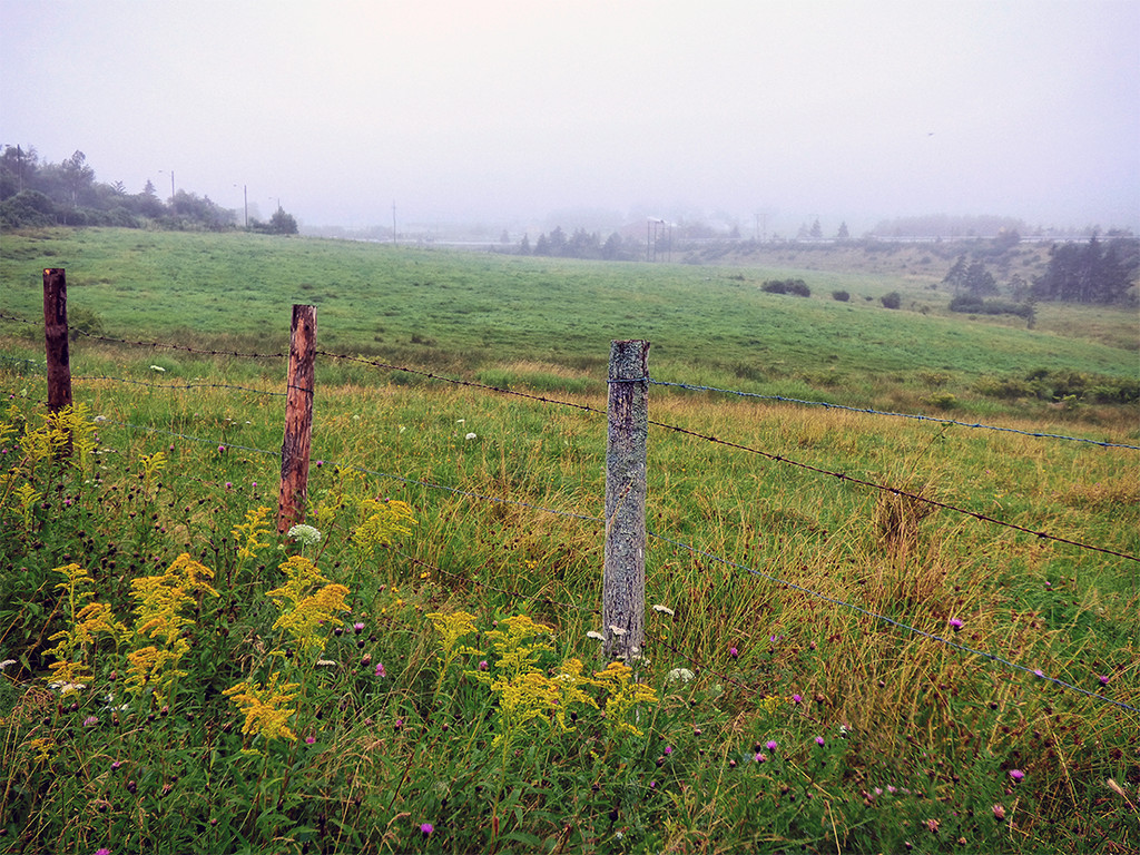 Mundane Meadow? by Weezilou