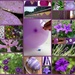 July Purple by overalvandaan