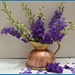 Just-4-July. Larkspur.Flower of the month by wendyfrost