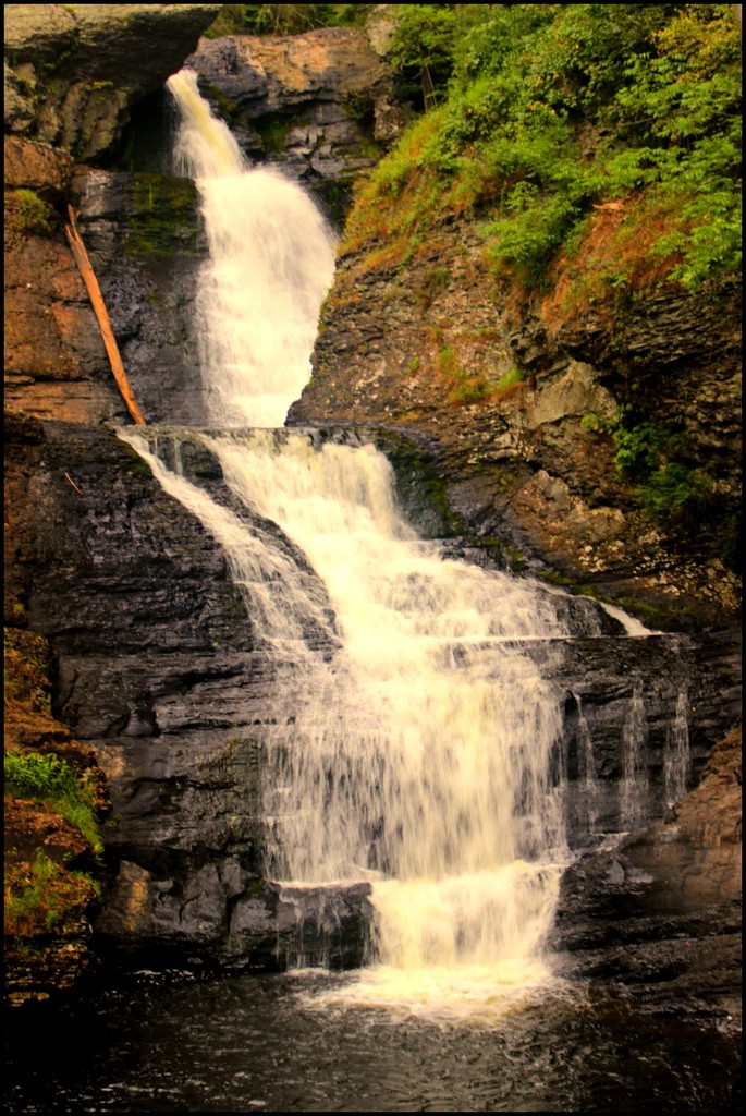 Raymondskill Falls by olivetreeann