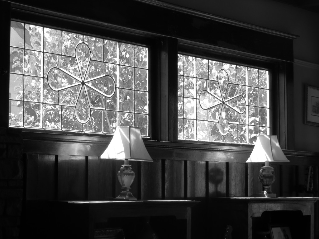 106 Window Patterns by seattlite