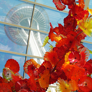 27th Jul 2014 - Chihuly Glass & Garden At The Space Needle