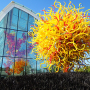 30th Jul 2014 - Dreaming Of Chihuly