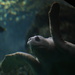 Sea Turtle by kerristephens
