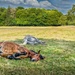 Forty winks... by vignouse