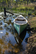 2nd Aug 2014 - Canoe 