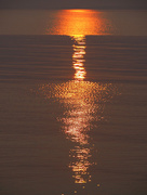 2nd Aug 2014 - One Sun; Three Reflections