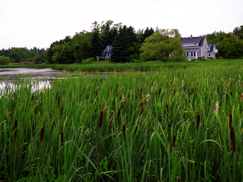 To Me, This is Ubiquitous South Shore Nova Scotia by Weezilou