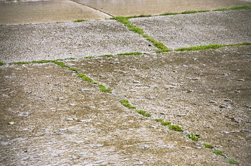 Rainy Driveway by houser934