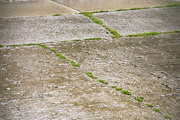 27th Jul 2014 - Rainy Driveway